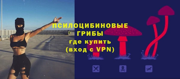 мяу мяу мука Белокуриха