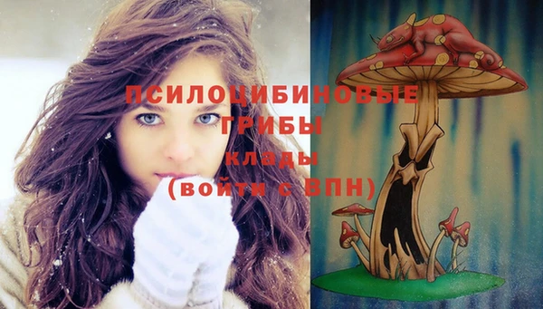 мяу мяу мука Белокуриха
