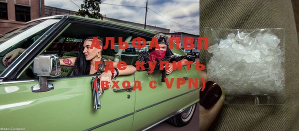 мяу мяу мука Белокуриха