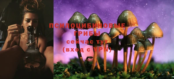 а пвп мука Балабаново