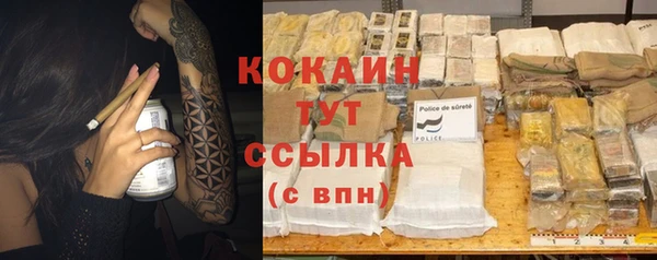 мяу мяу мука Белокуриха