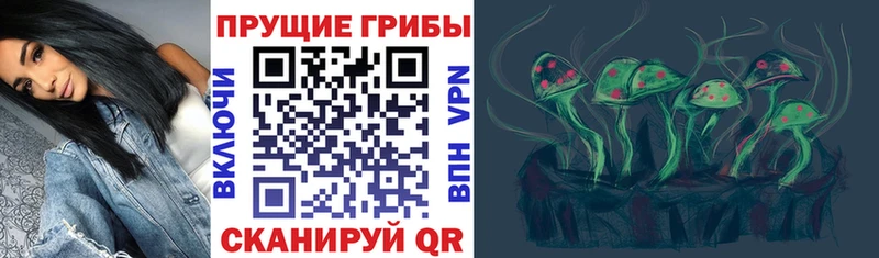 закладки  Кушва  Галлюциногенные грибы ЛСД 