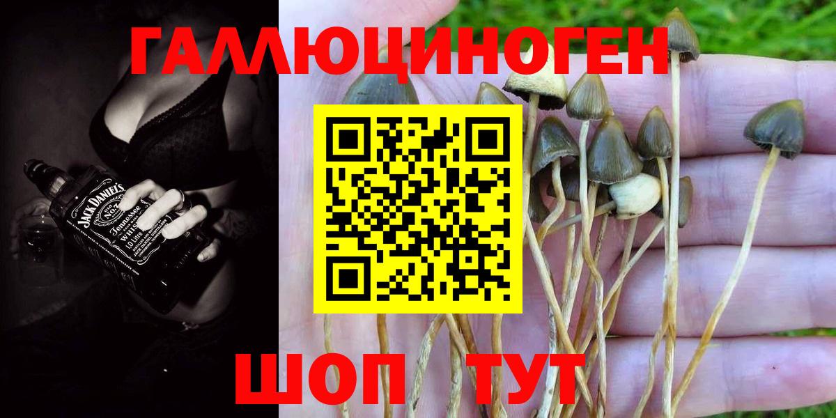 Меф кристаллы  ЭКСТАЗИ  Вход с VPN  Кушва  LSD-25  МЕТ  Канабис  COCAIN  COCAIN  Гашиш 